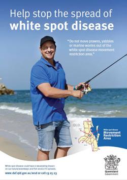 Poster of man fishing at the beach warning people not to move prawns, yabbies or marine worms out of the white spot disease movement restriction area.